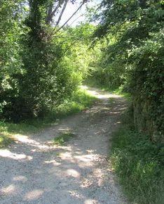 Chemin de Pezegado