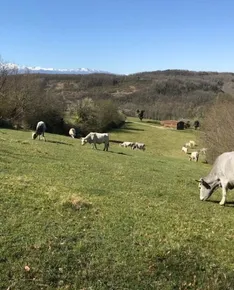 La Ferme de la Besse