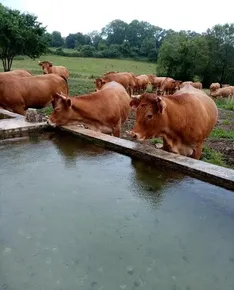 La Ferme des Fajanes