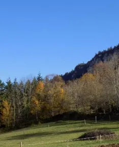 Mountain and forest gîte