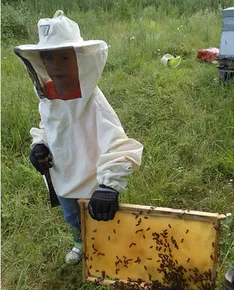 The Lavelanet apiary