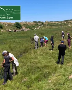 The peat bog, witness to the past and climate change