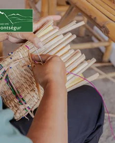 Discover wild basketry on the Grand Site