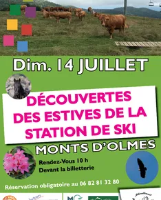 Discovering the Monts d'Olmes mountain pastures