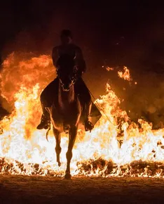 Medieval horse show